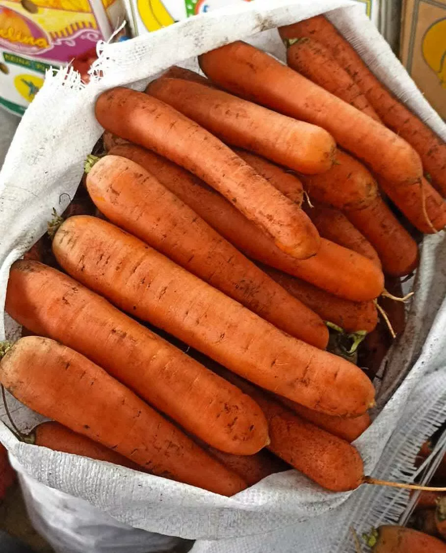 морковь оптом 1 сорт в Москве