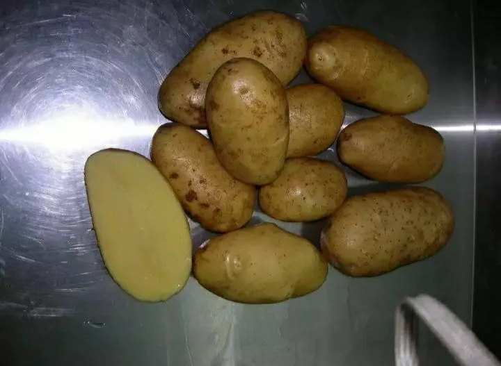 картофель оптом в Москве 2