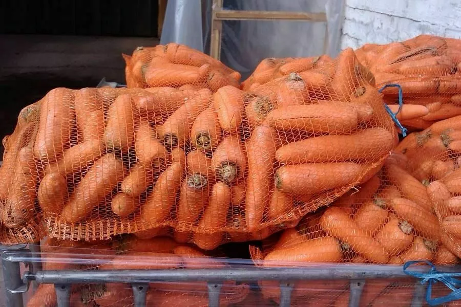 морковь оптом в Москве