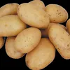 картофель гриль от 300 гр до 500 гр  в Москве
