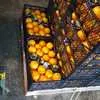 апельсины Вашинктон Турция  в Москве