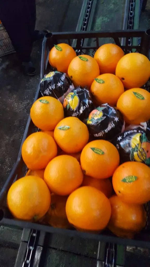 апельсины Вашинктон Турция  в Москве 2