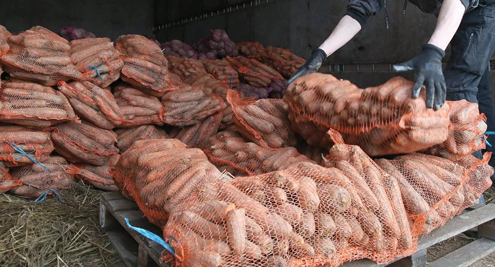 продаем морковь с хранилищ всей России в Москве 2