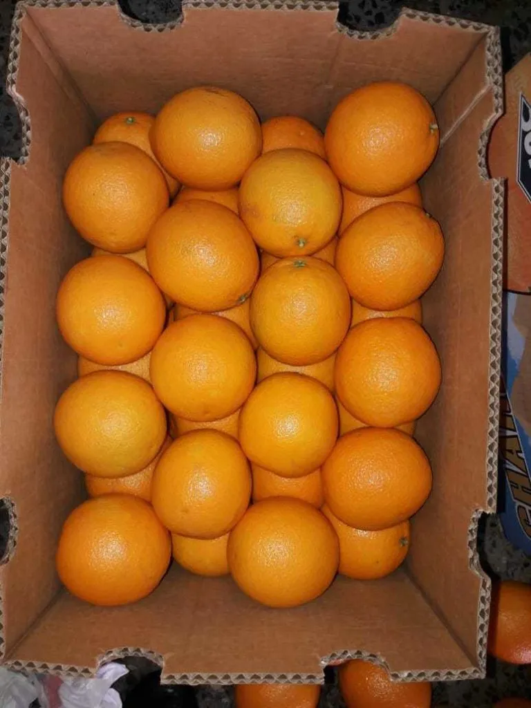 апельсины Египет в Москве 2