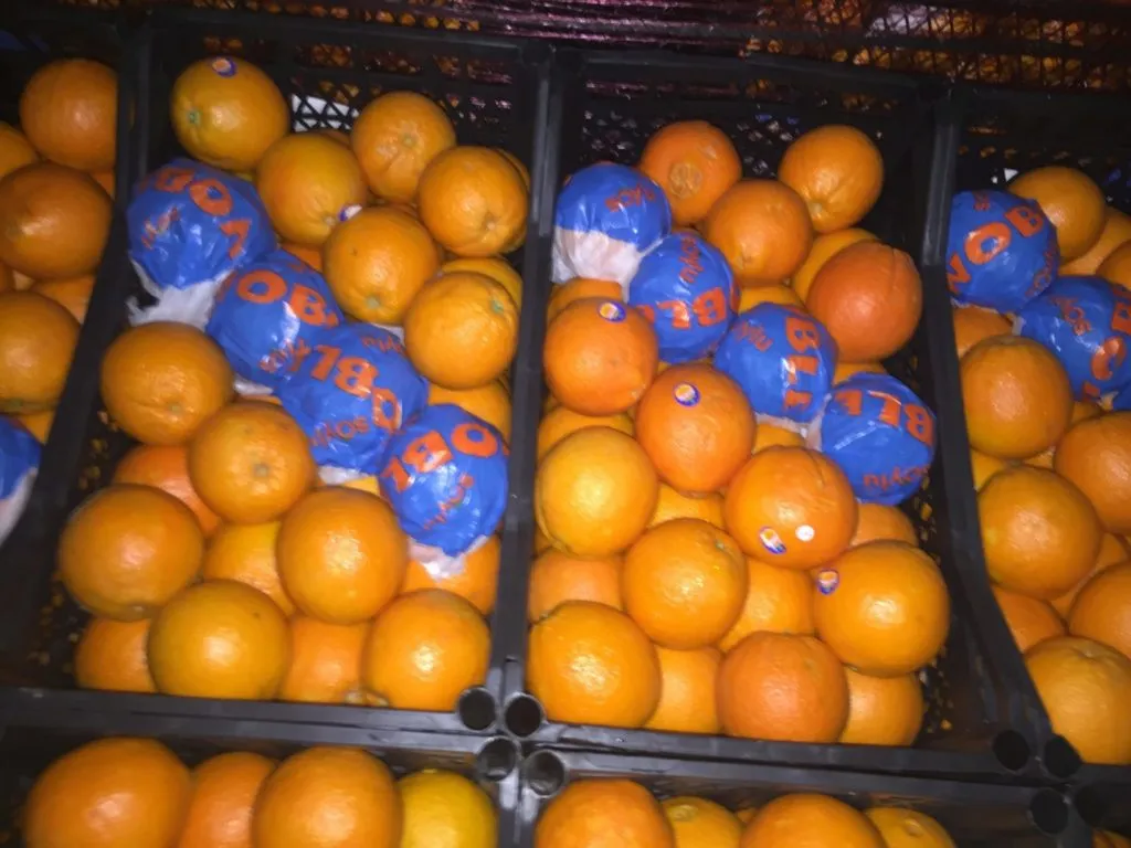 апельсин Навелин крупный Турция в Москве 7