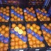 апельсин Навелин крупный Турция в Москве 4