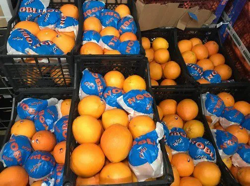 апельсин Навелин крупный Турция в Москве 5
