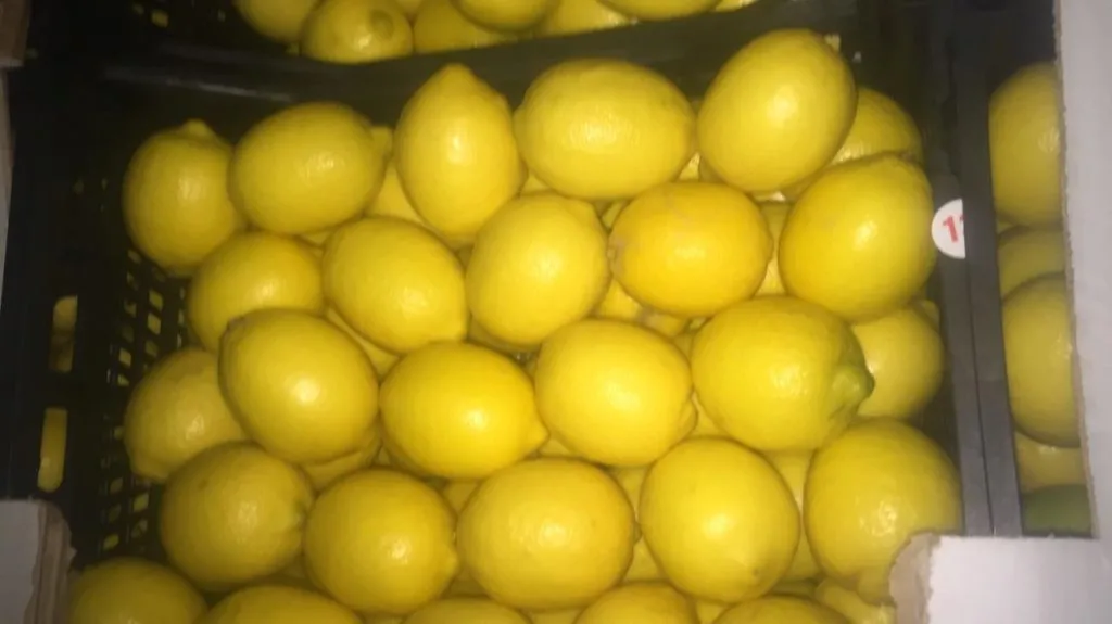 лимоны Турция. в Москве