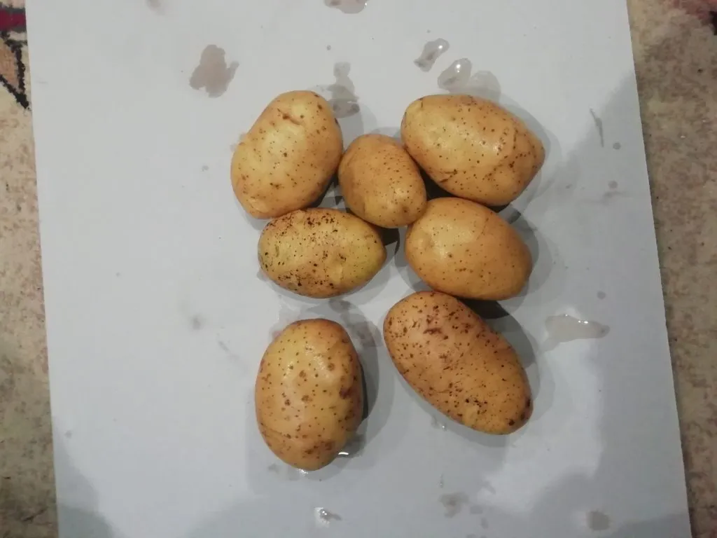 картофель Нижегородская область в Москве 3