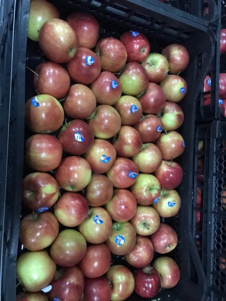 айва,яблоки джонаголд в Москве