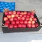 продаем; груша, яблоко оптом. в Москве 9