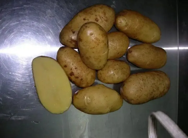 картофель оптом в Москве 3