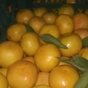 мандарин  Турция  ниже рыноцный цена  в Москве