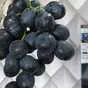 виноград Кишмиш черный из Узбекистана в Москве 16