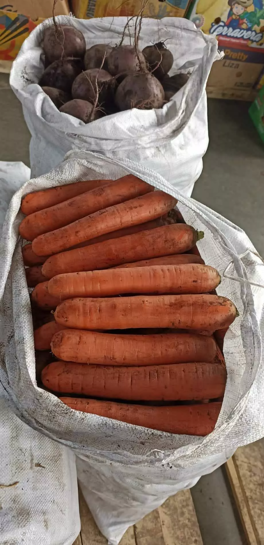 морковь оптом 1 сорт в Москве 2