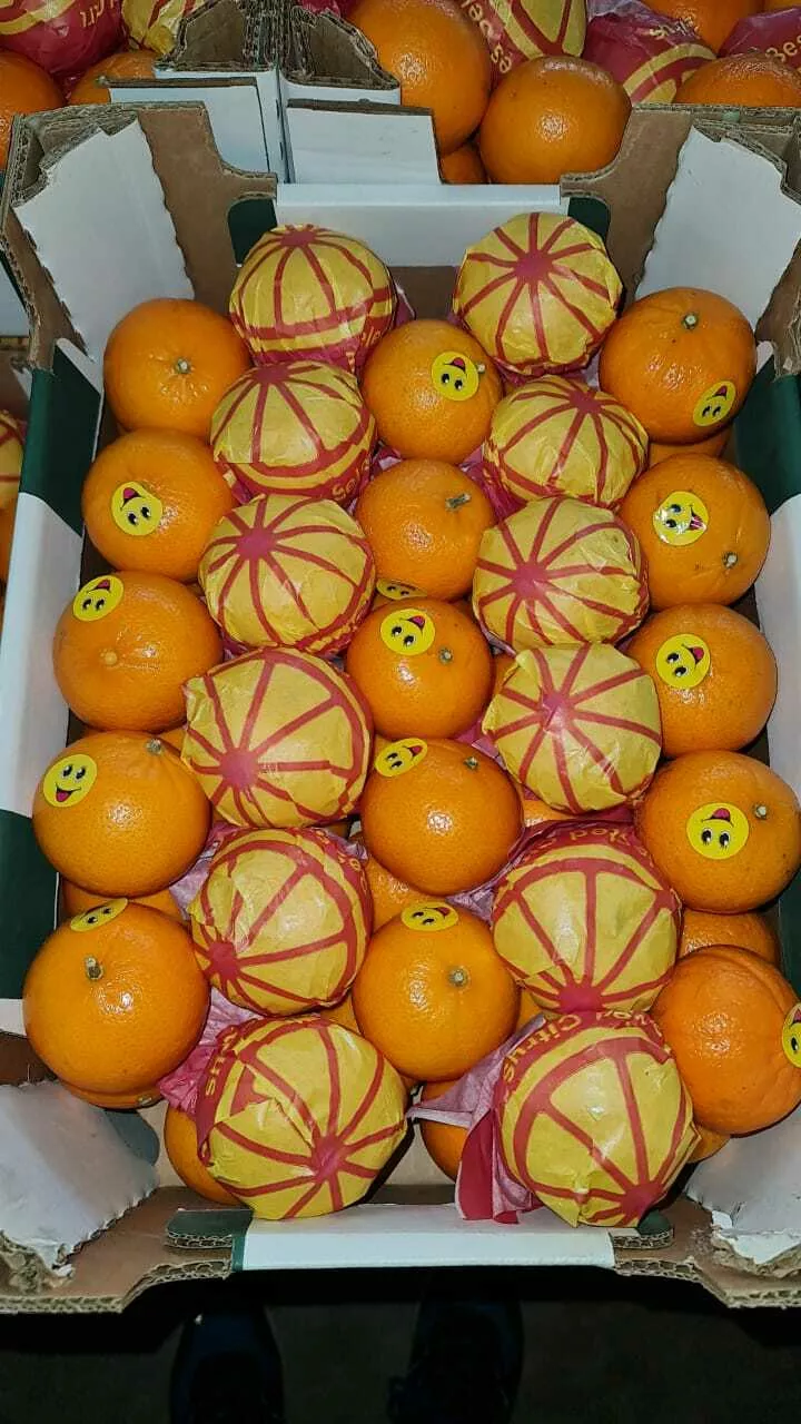египетские мандарины свежие. в Москве