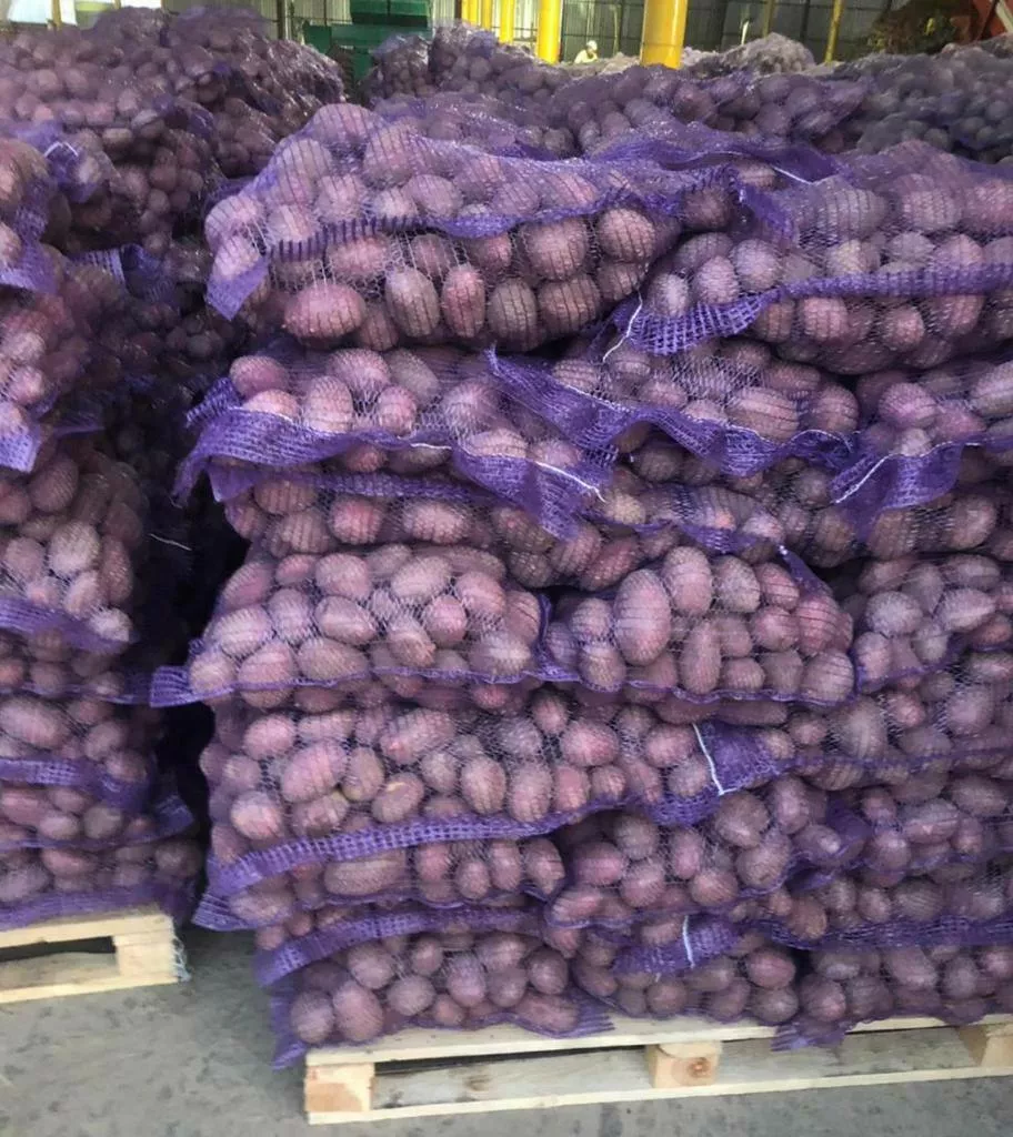 картофель новый урожай  в Москве