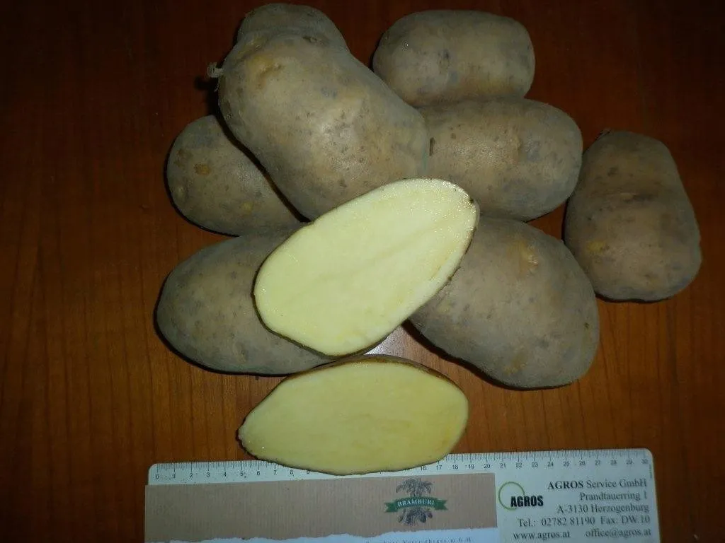отборный картофель из  в Москве