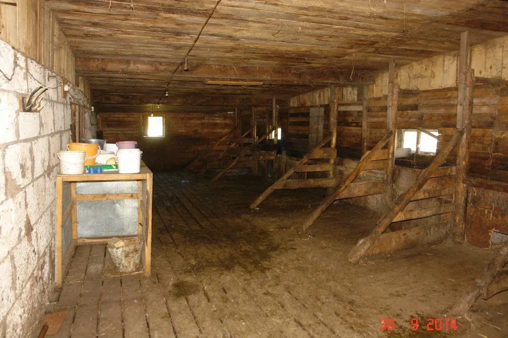 фотография продукта мини-ферму с пастбищем и жилым домом