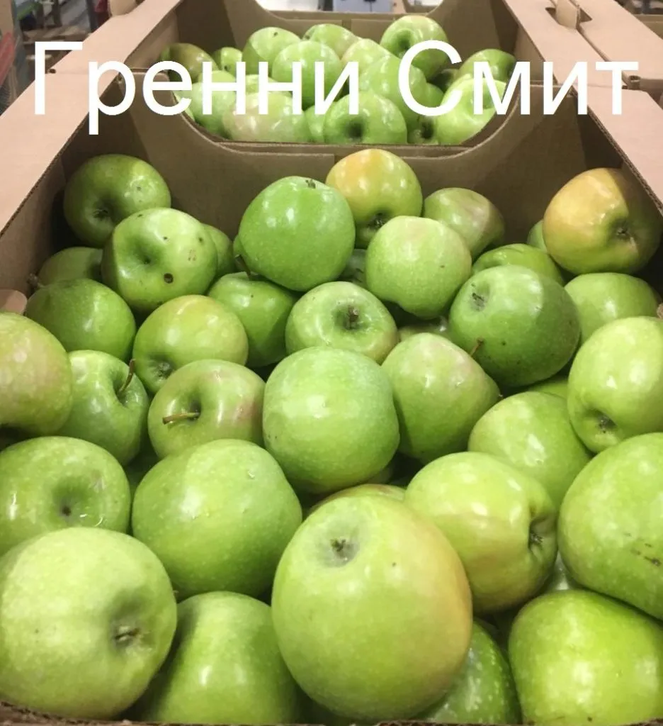 яблоки из Крыма в ассортименте в Москве 5
