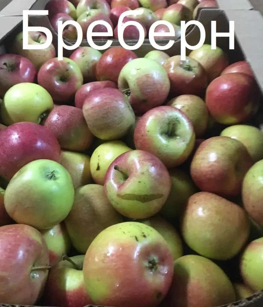 яблоки из Крыма в ассортименте в Москве 3