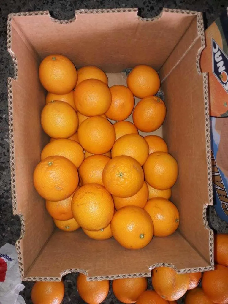 апельсины Египет в Москве