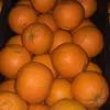 апельсины Сорта Навел Турция в Москве 2