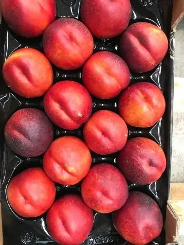 прямые поставки персиков, нектаринов в Москве 3