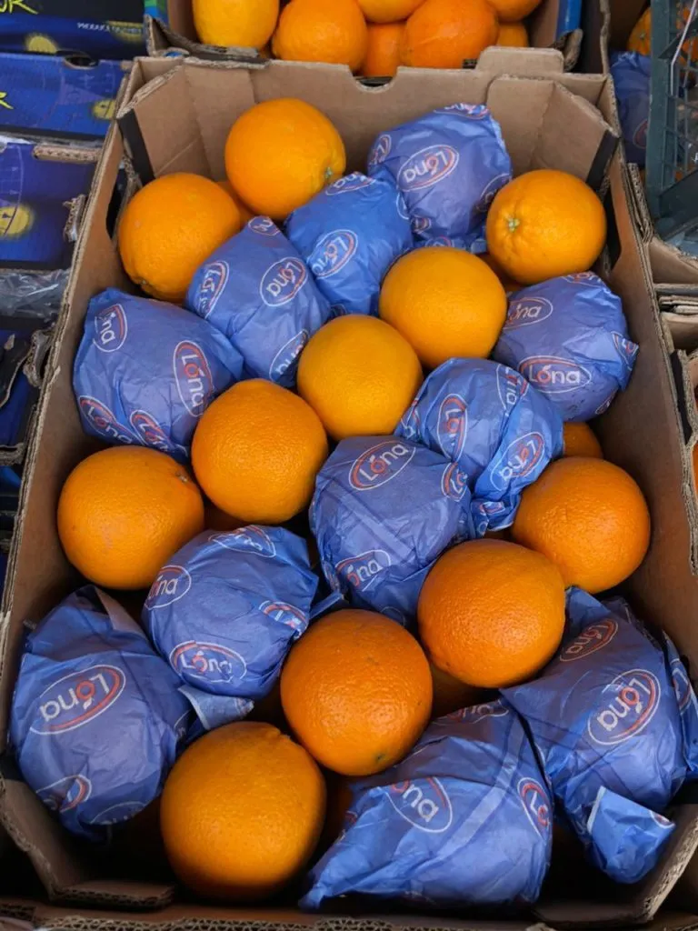 апельсин Оптом в Москве