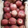яблоки Red Deliсious  Иран в Москве