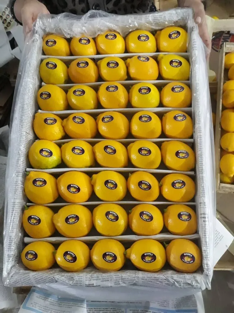 лимоны в Москве